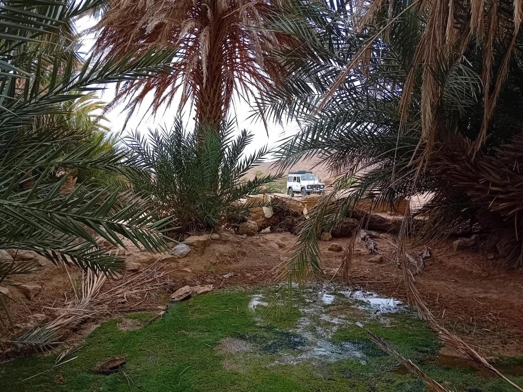 Hotel Bivouac Cote-Iriki à Foum Zguid Extérieur photo